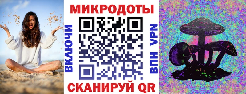 дарнет шоп  Дубовка  Псилоцибиновые грибы Psilocybe 
